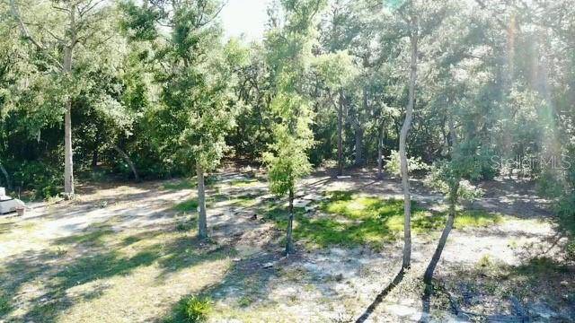 Interlachen, FL 32148,1107 USINA AVE
