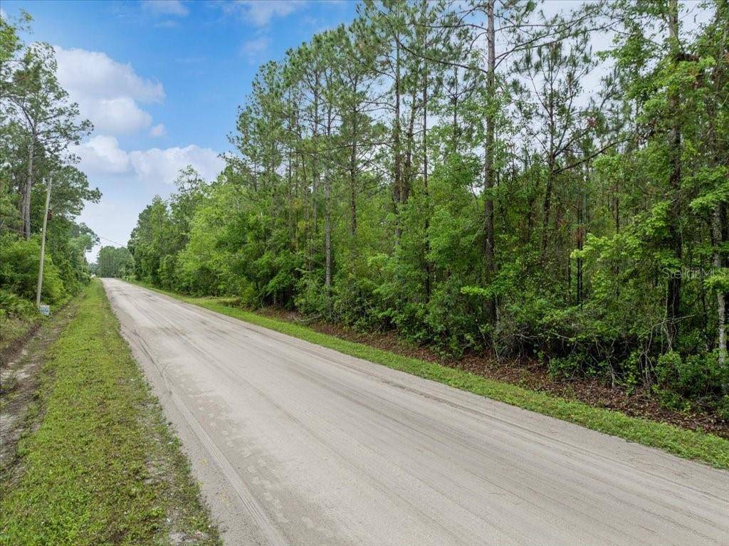 Bunnell, FL 32110,1756 HAZELNUT ST