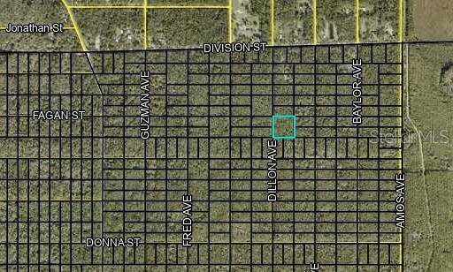 Hastings, FL 32145,000 DILLON AVE