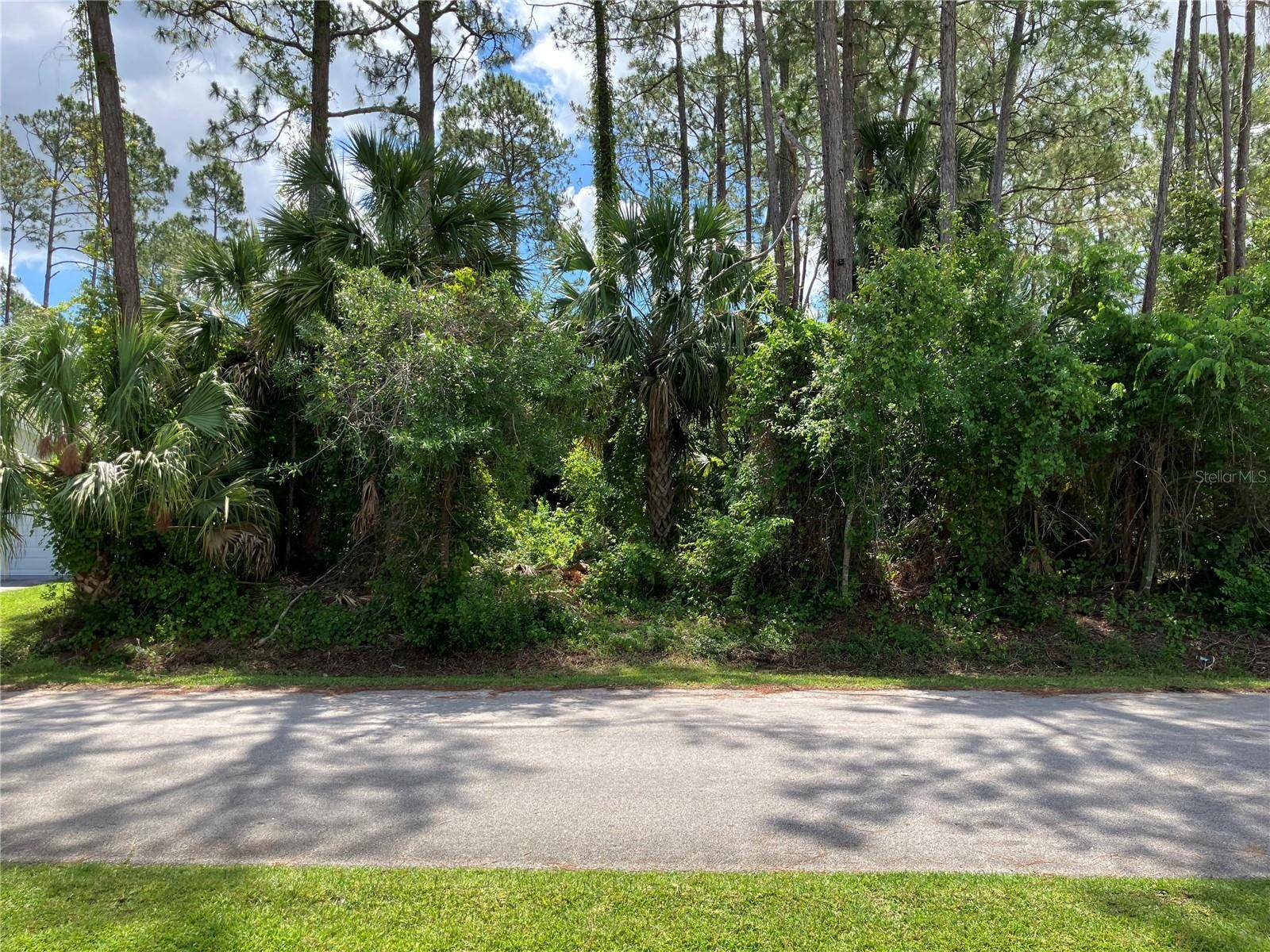 Palm Coast, FL 32137,40 BRIGADOON LN