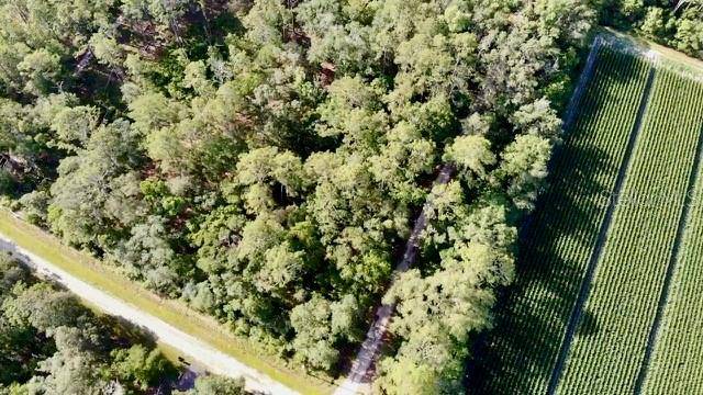 Hastings, FL 32145,5075 IRVING ST