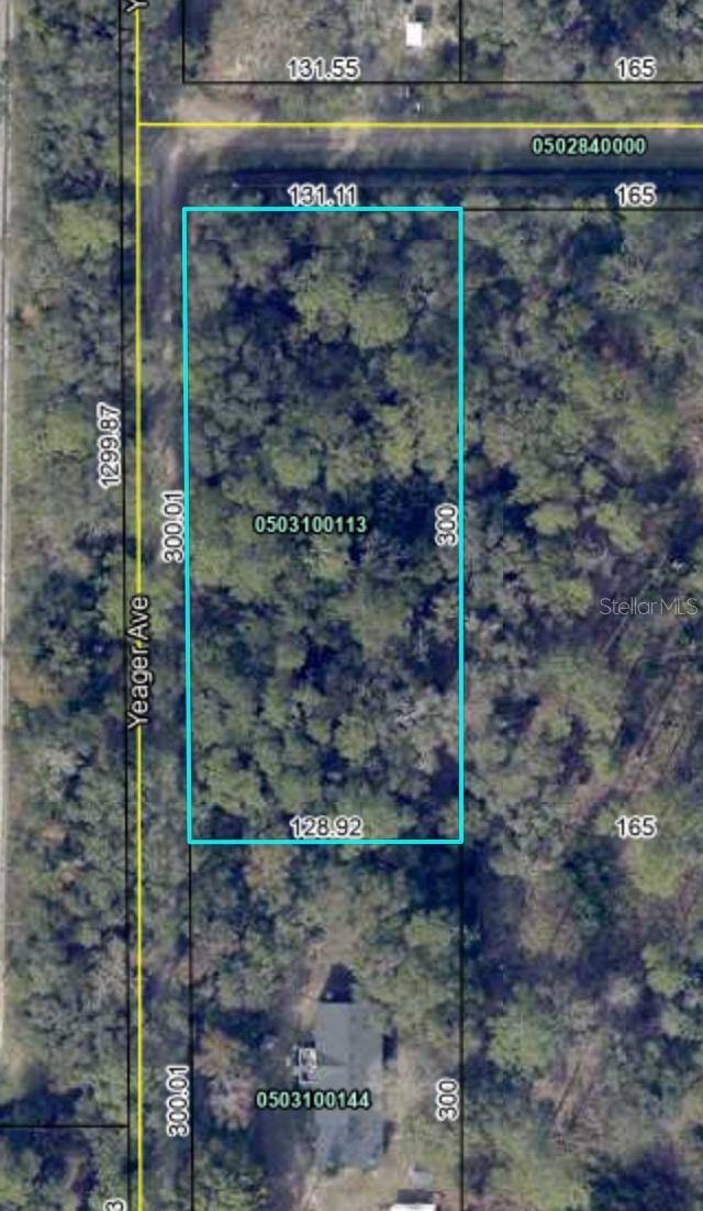 Hastings, FL 32145,5075 IRVING ST
