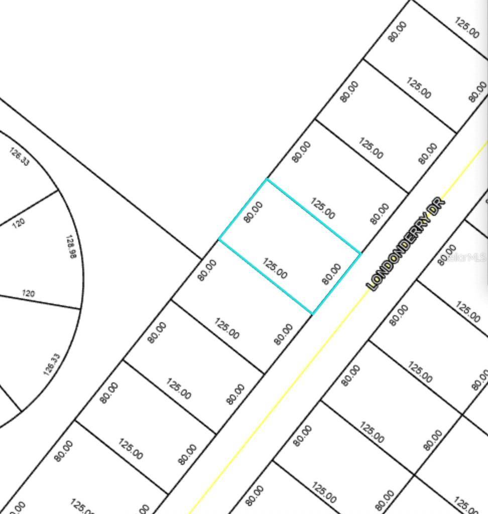 Palm Coast, FL 32137,41 LONDONDERRY DR