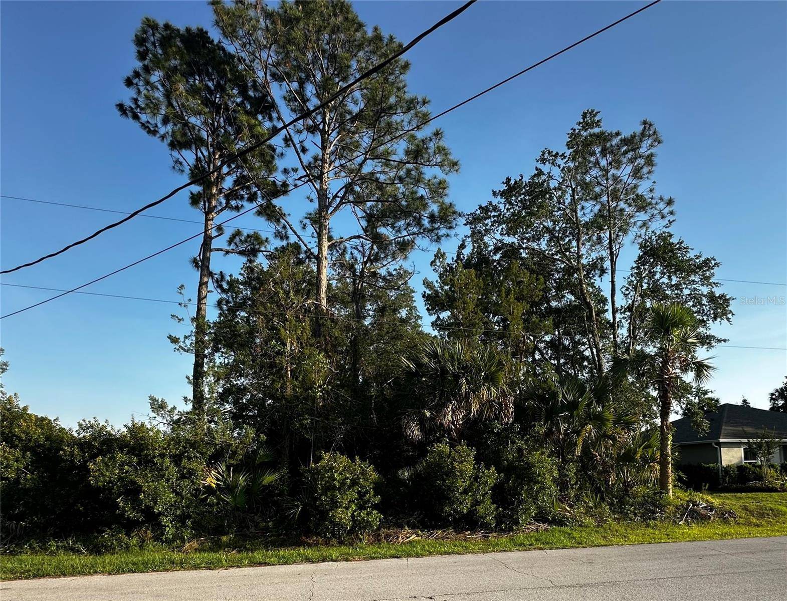 Palm Coast, FL 32164,31 PALM LN