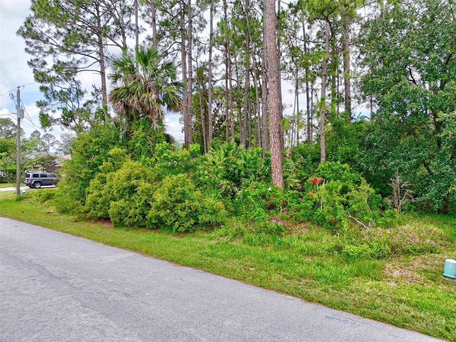 Palm Coast, FL 32137,12 BURNING TREE PLACE
