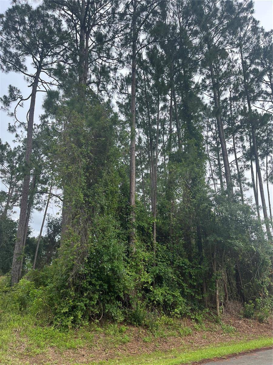 Palm Coast, FL 32137,58 BRUNETT LN