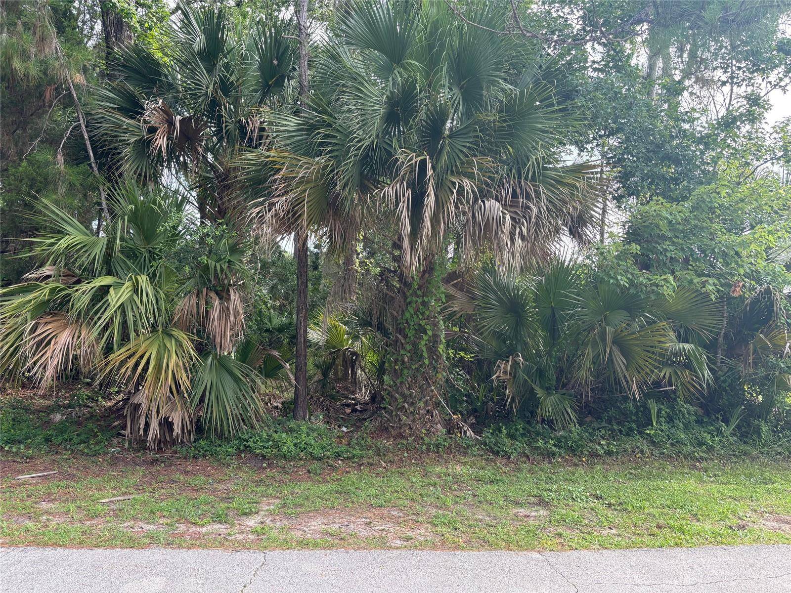 Palm Coast, FL 32164,Address not disclosed