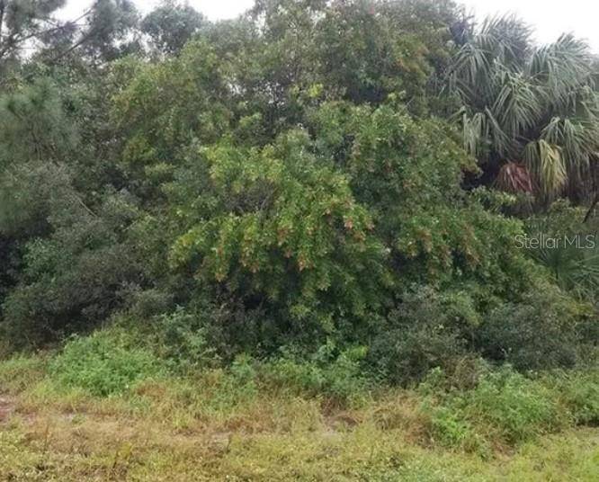 Vero Beach, FL 32962,203 13TH PL SW