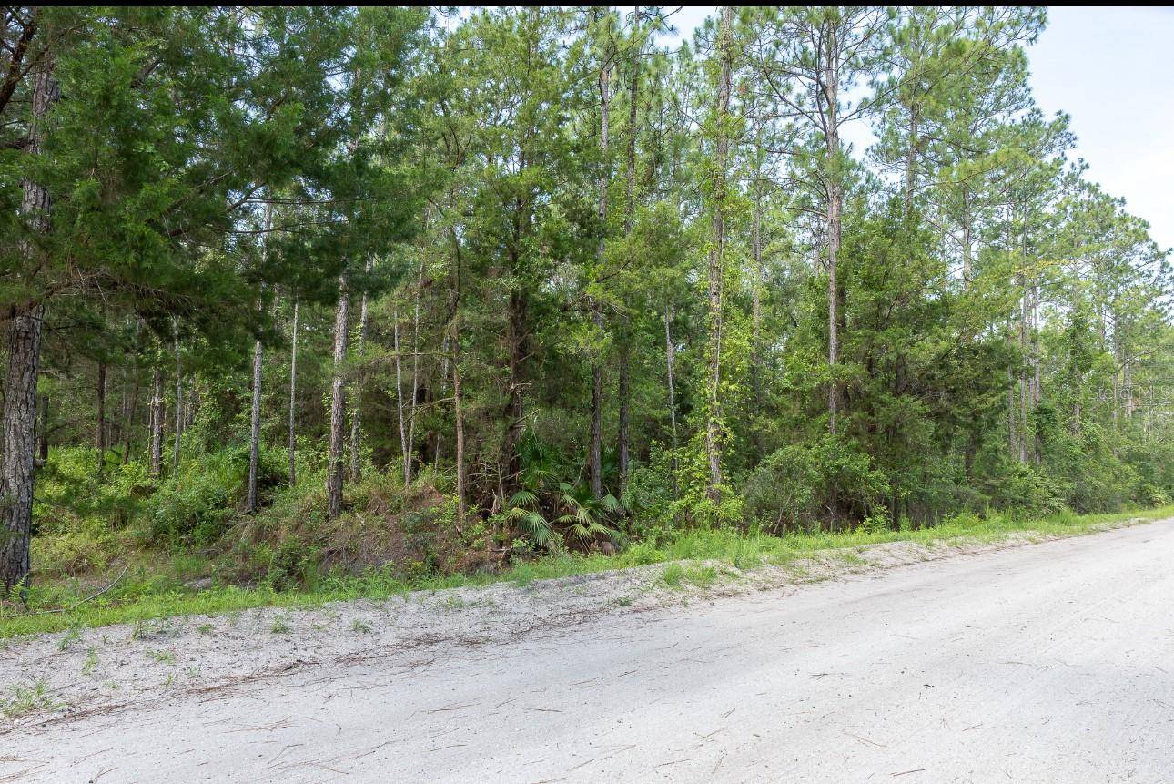 Bunnell, FL 32110,5661 IRONWOOD AVE