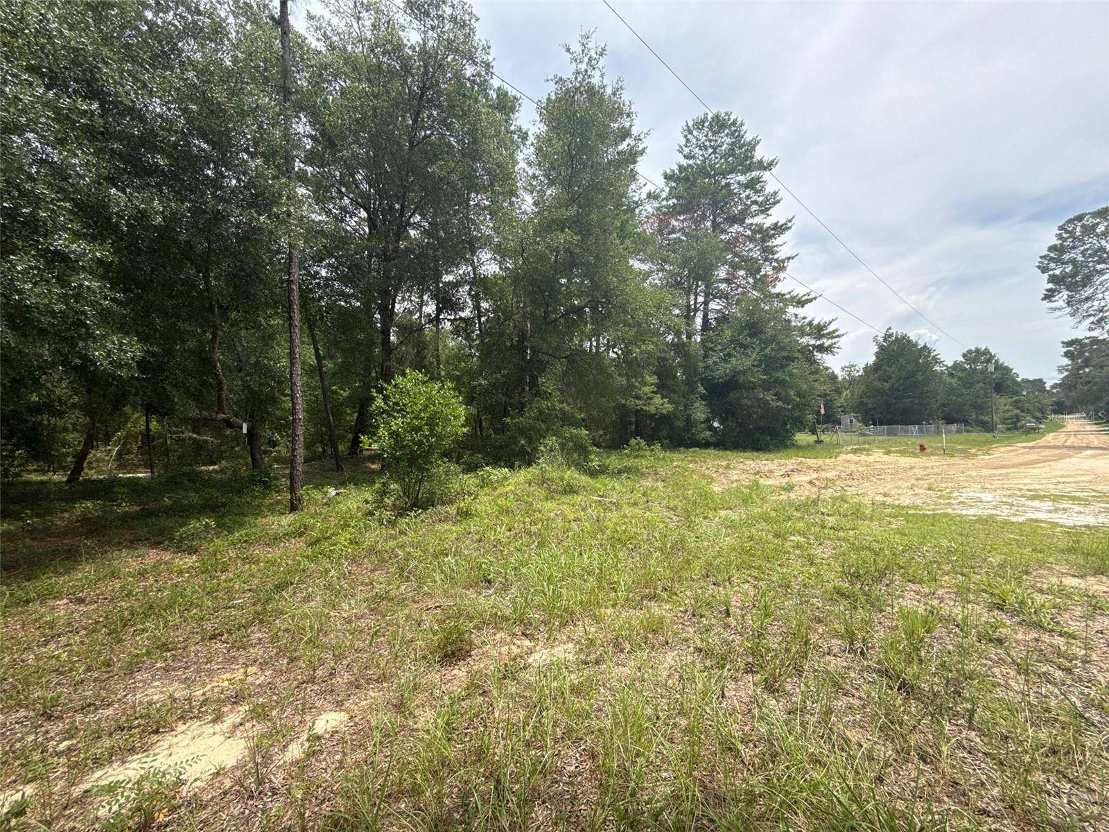 Interlachen, FL 32148,140 CHEROKEE DR
