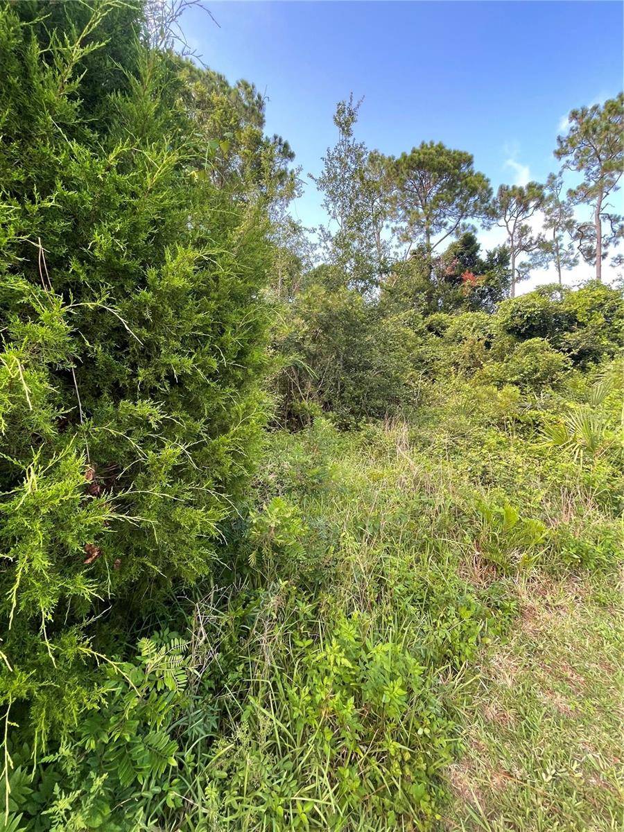 Palm Coast, FL 32137,7 BIRCHFIELD PL