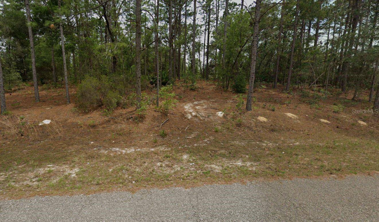 Citrus Springs, FL 34434,2540 W VENTURA LN