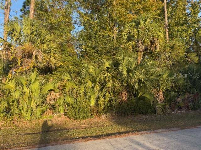 Palm Coast, FL 32164,11 PINELARK LN