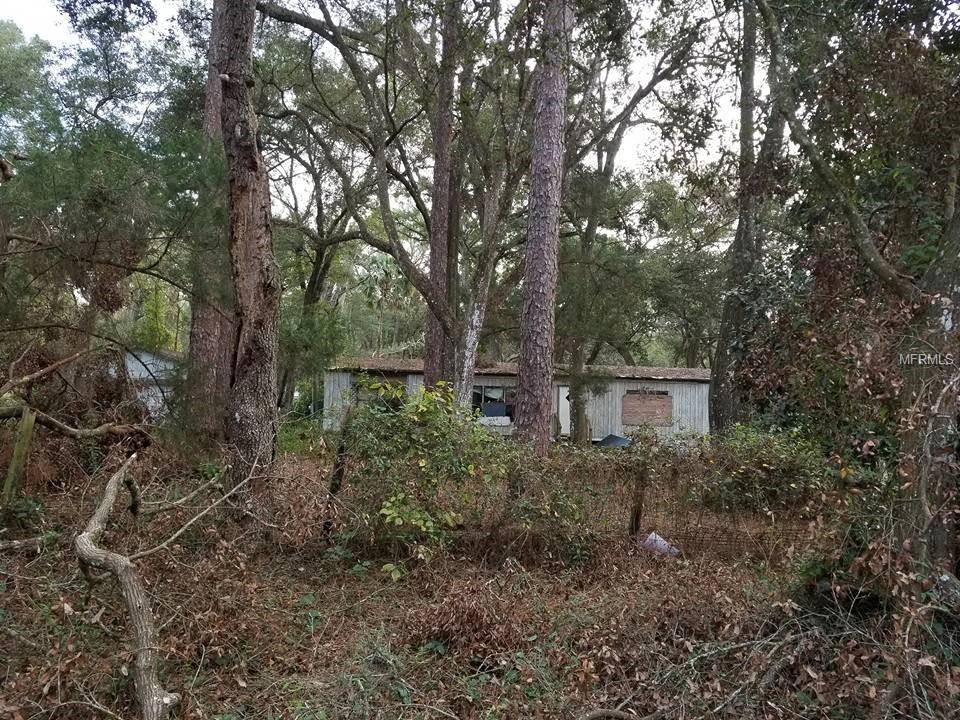 Webster, FL 33597,4655 110TH PL