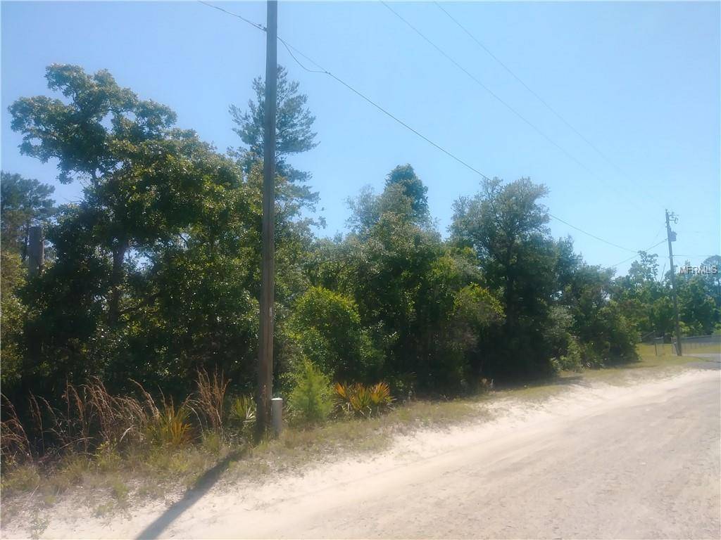 Eustis, FL 32736,SCRUB OAK LN