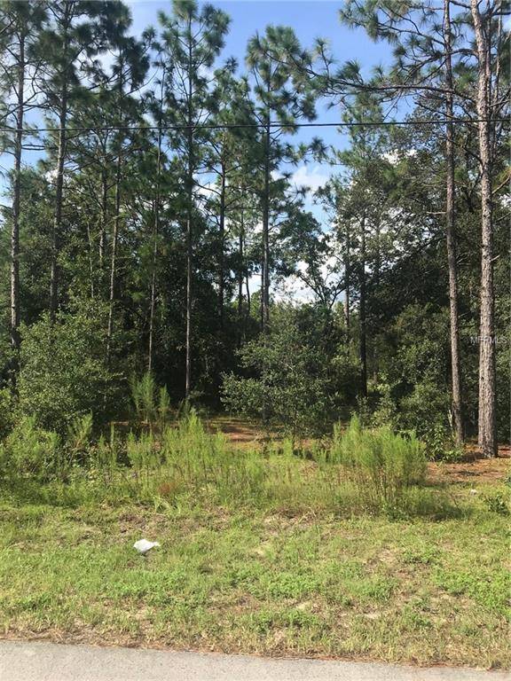 Summerfield, FL 34491,SE 161 ST