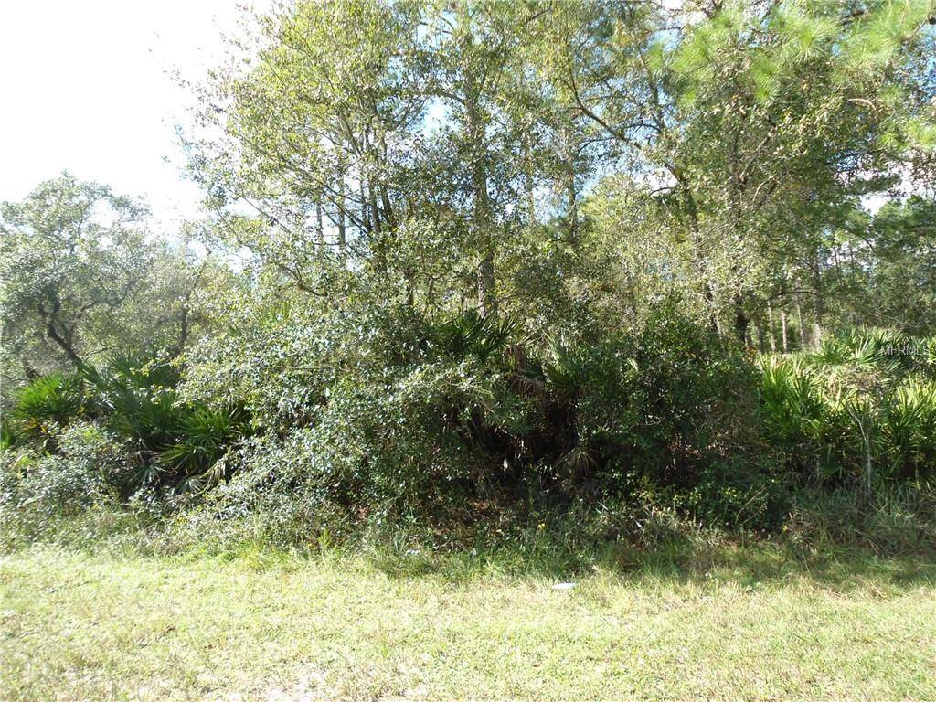 Eustis, FL 32736,ROYAL TRAILS RD