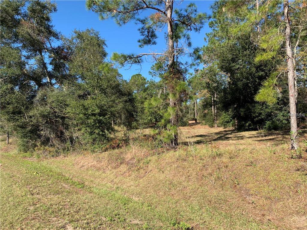 Eustis, FL 32736,23133 LAKE SENECA RD