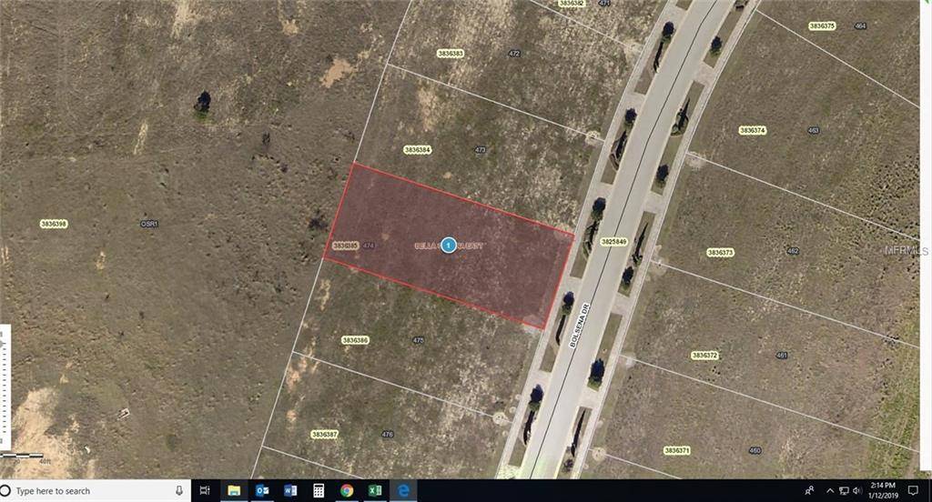 Montverde, FL 34756,16817 BOLSENA DR