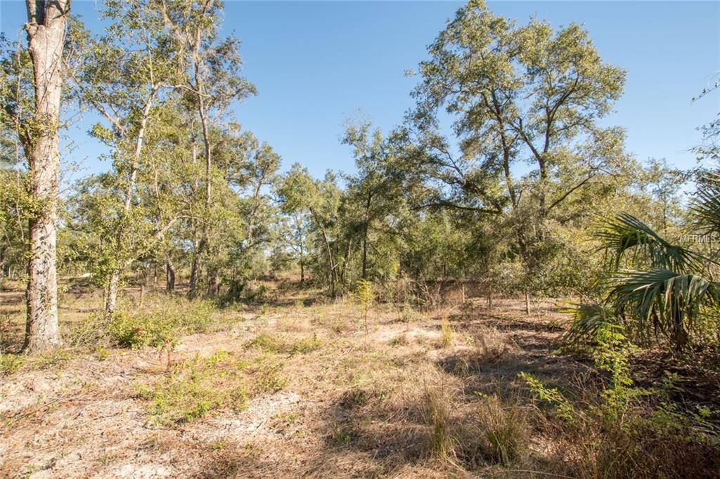 Eustis, FL 32736,SHADY OAK LN