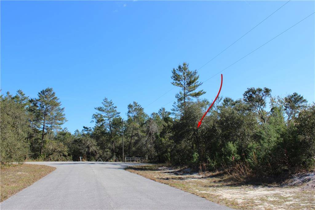 Eustis, FL 32736,Lot 8 LARKSPUR AVE