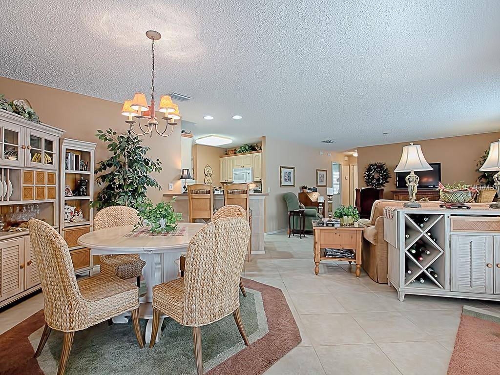 The Villages, FL 32162,17394 SE 82ND PECAN TER