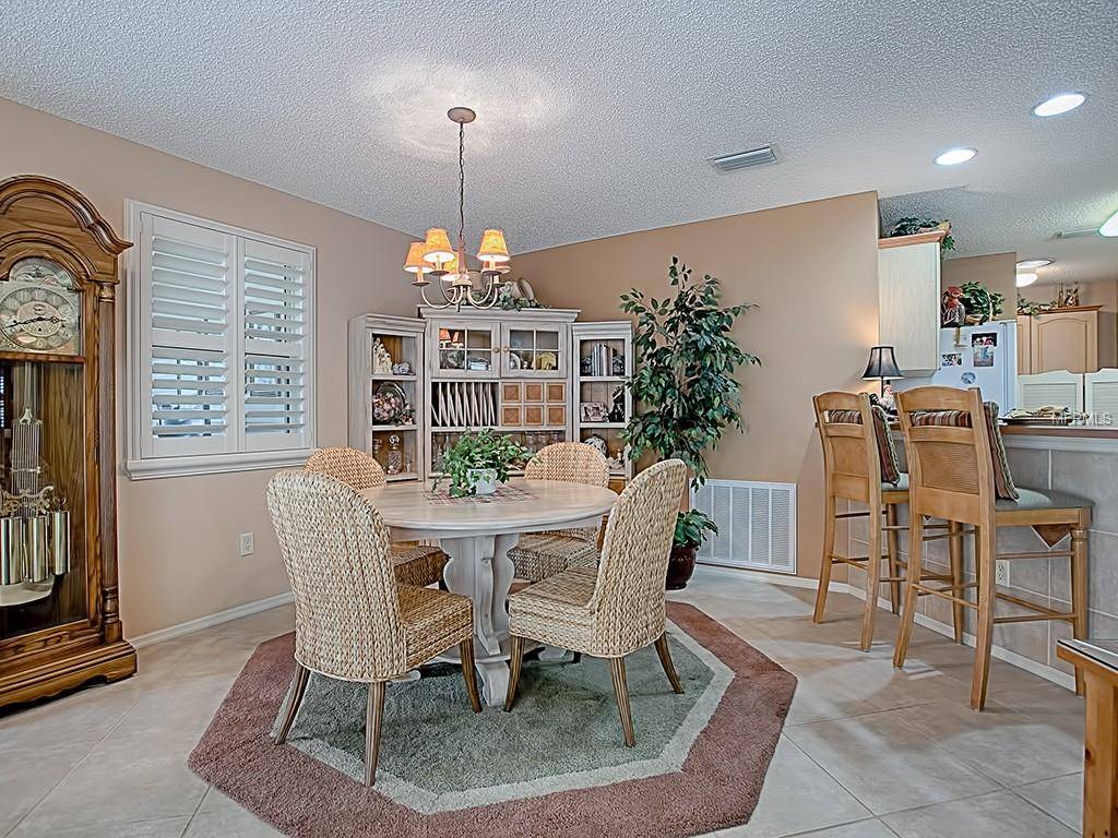 The Villages, FL 32162,17394 SE 82ND PECAN TER