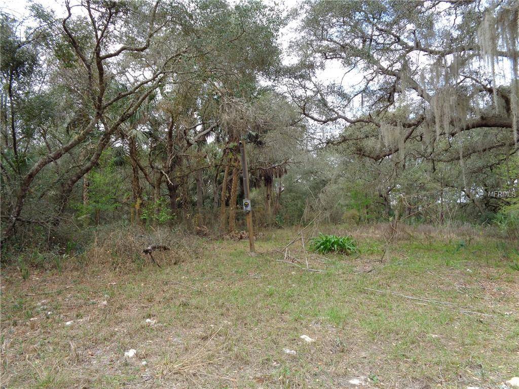 Eustis, FL 32736,41105 POSEY DR