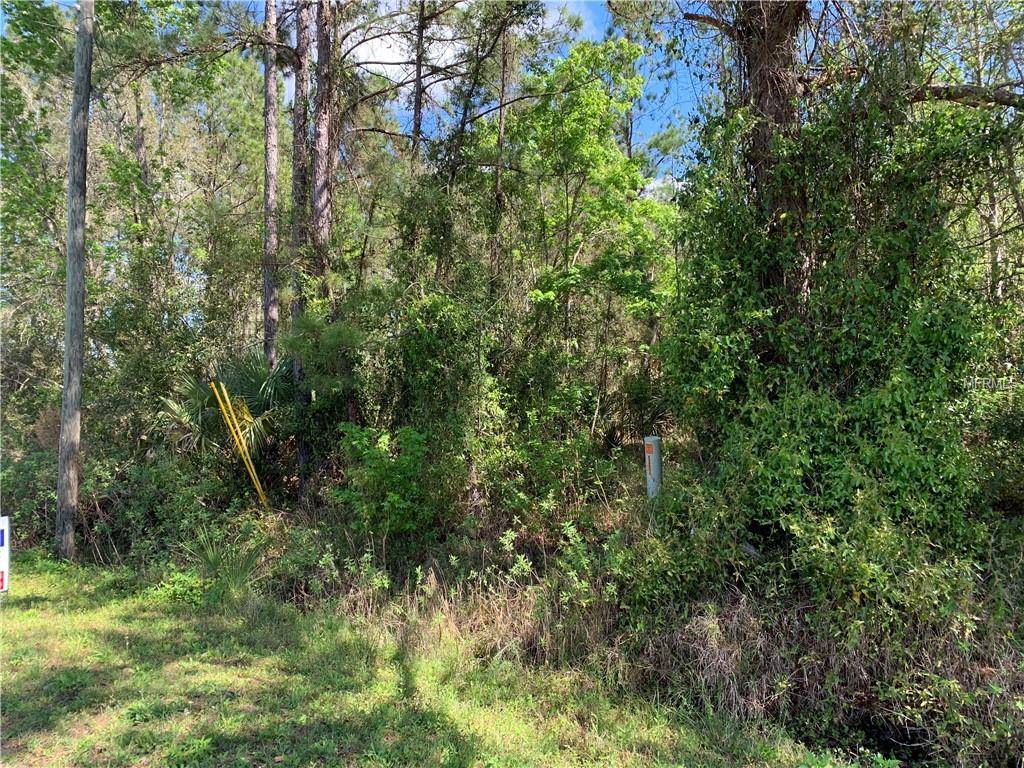 Sorrento, FL 32776,0 WEKIVA PINES BLVD