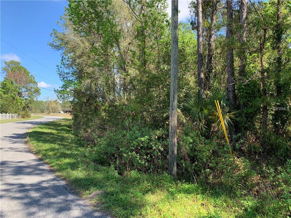 Sorrento, FL 32776,0 WEKIVA PINES BLVD