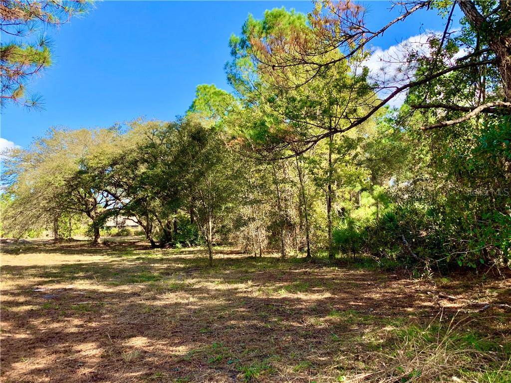 Eustis, FL 32736,Lot 4 TAMARAC ST