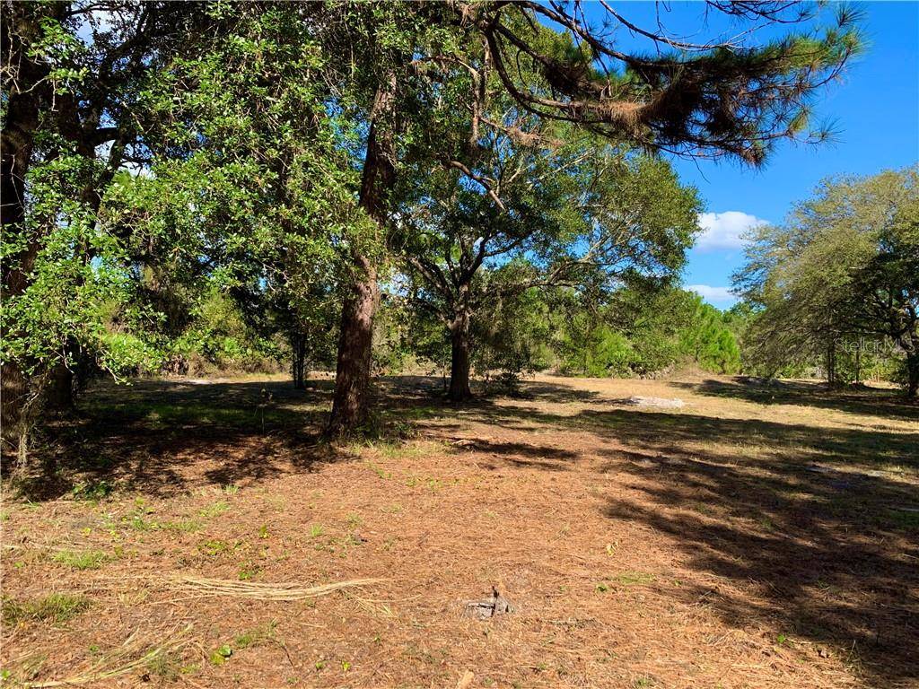 Eustis, FL 32736,Lot 4 TAMARAC ST