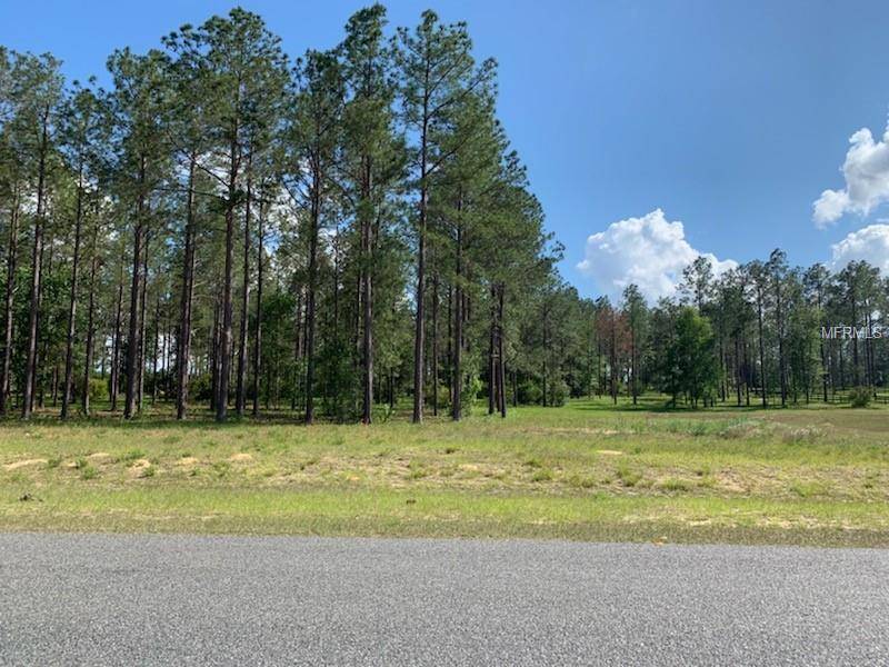 Eustis, FL 32736,35151 PINEGATE TRL