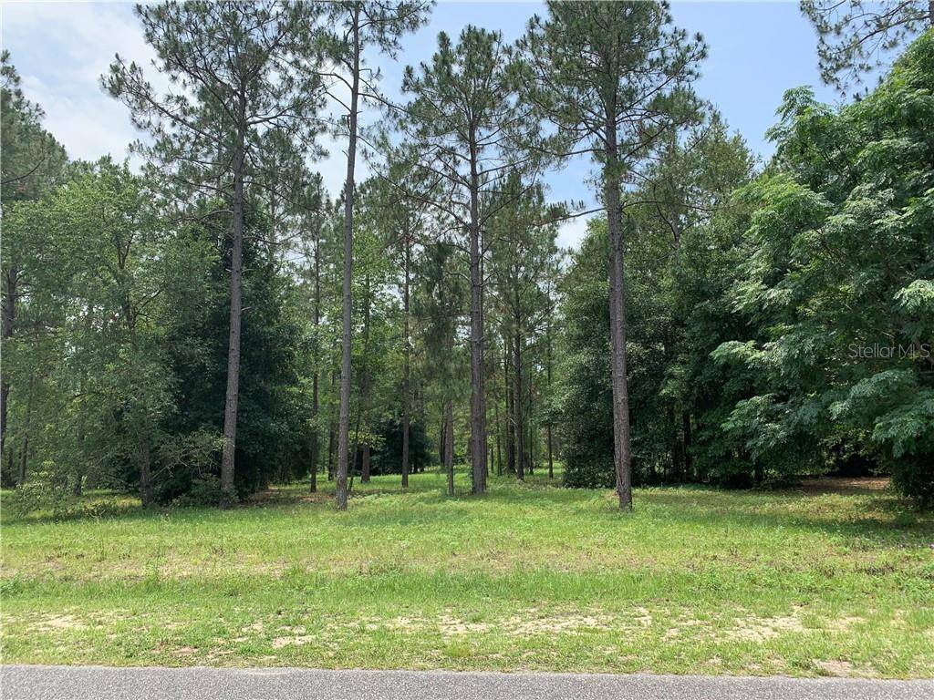 Eustis, FL 32736,24112 DEEP SPRINGS LOOP