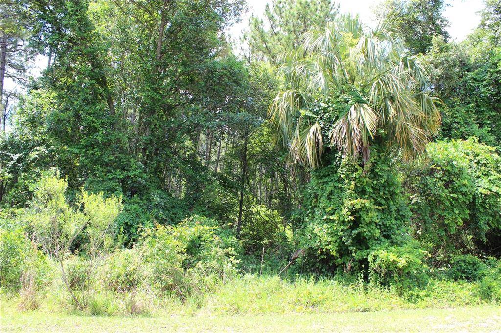 Eustis, FL 32736,Lot 20 APRICOT AVE