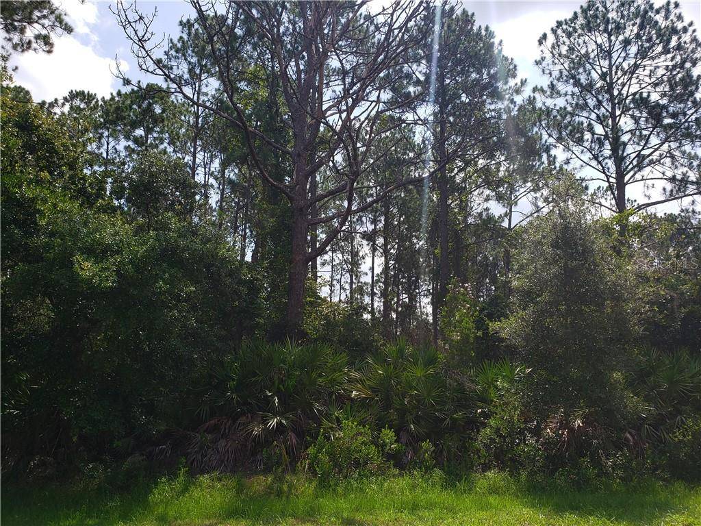 Eustis, FL 32736,ALDER WAY