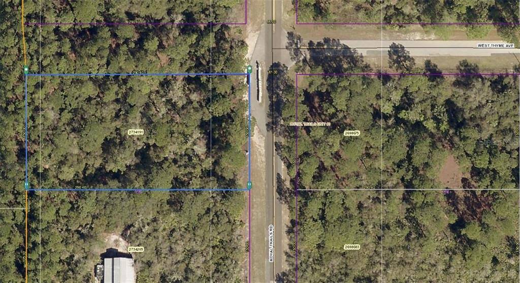 Eustis, FL 32736,ROYAL TRAILS RD