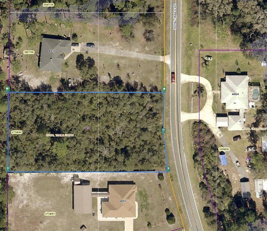 Eustis, FL 32736,ROYAL TRAILS RD