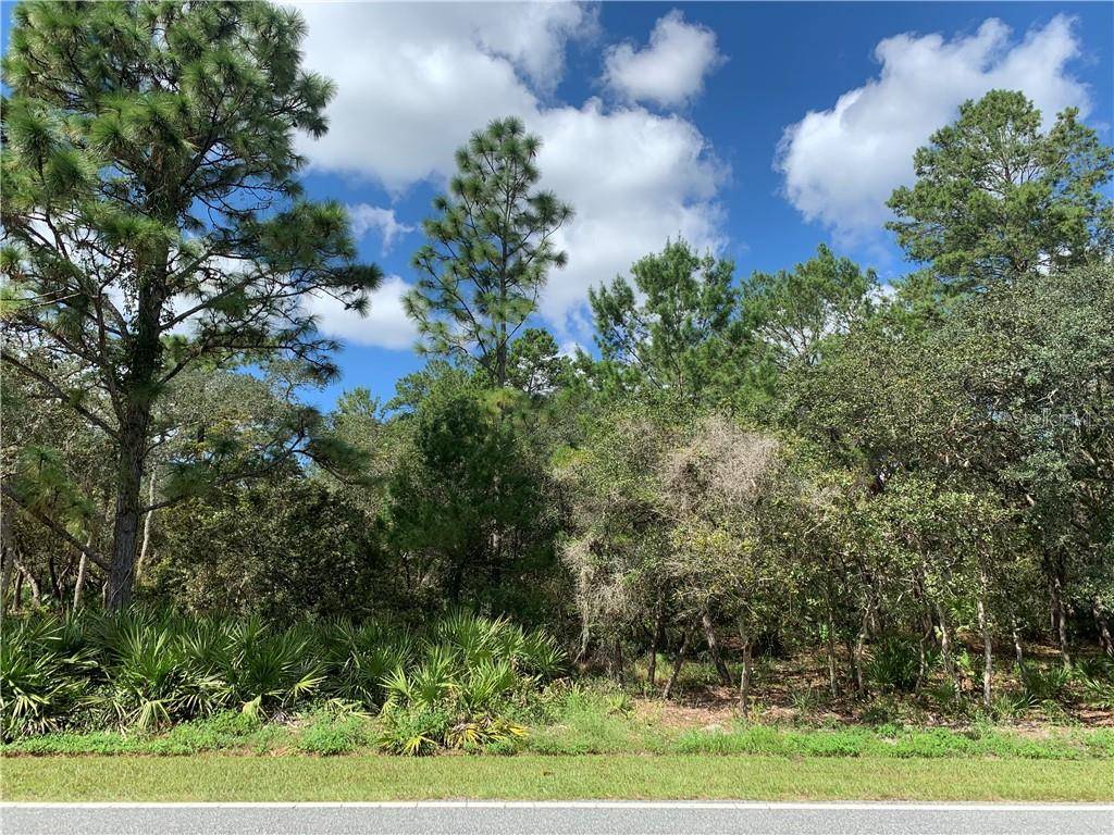 Eustis, FL 32736,Lot 9 ROYAL TRAILS RD