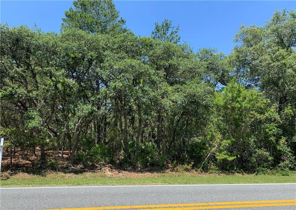 Eustis, FL 32736,Lot 9 ROYAL TRAILS RD