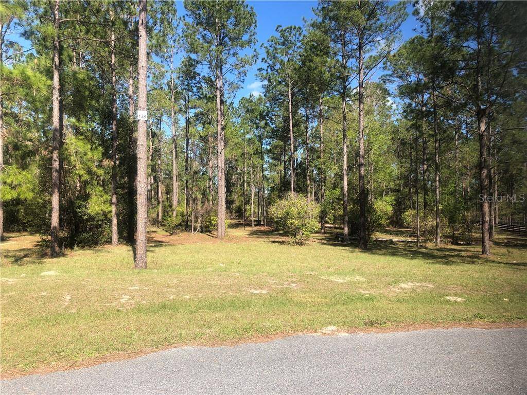 Eustis, FL 32736,24003 GREEN GARDENS CT