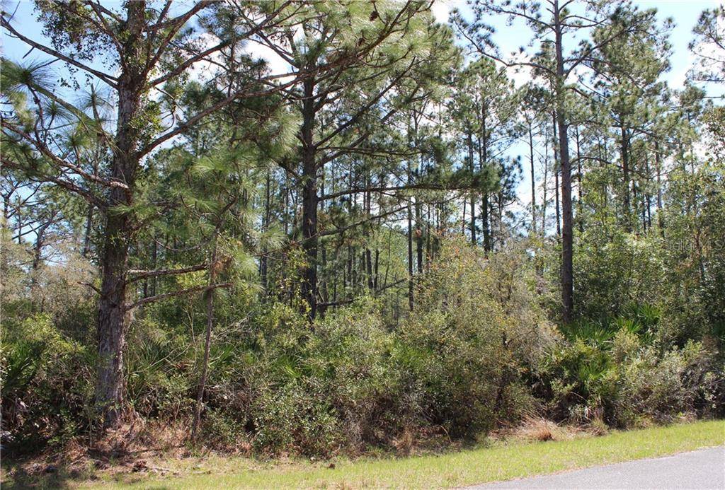 Eustis, FL 32736,LOT 15 CASHEW ST