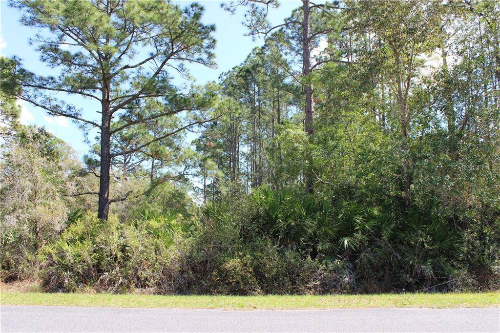 Eustis, FL 32736,LOT 15 CASHEW ST