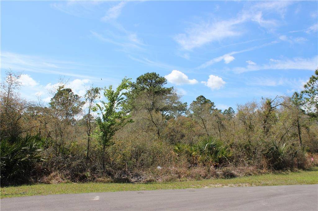 Eustis, FL 32736,LOT 6 W BLUEBELL AVE