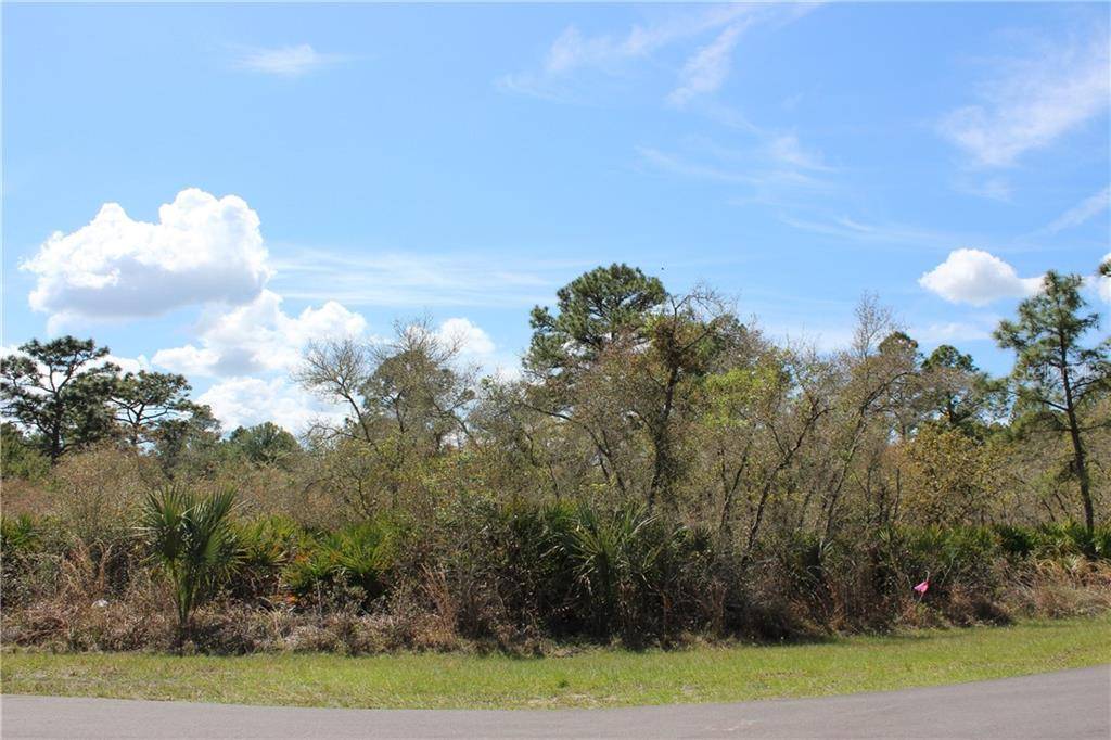 Eustis, FL 32736,LOT 6 W BLUEBELL AVE