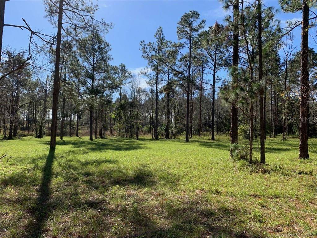 Eustis, FL 32736,24124 DEEP SPRINGS LOOP