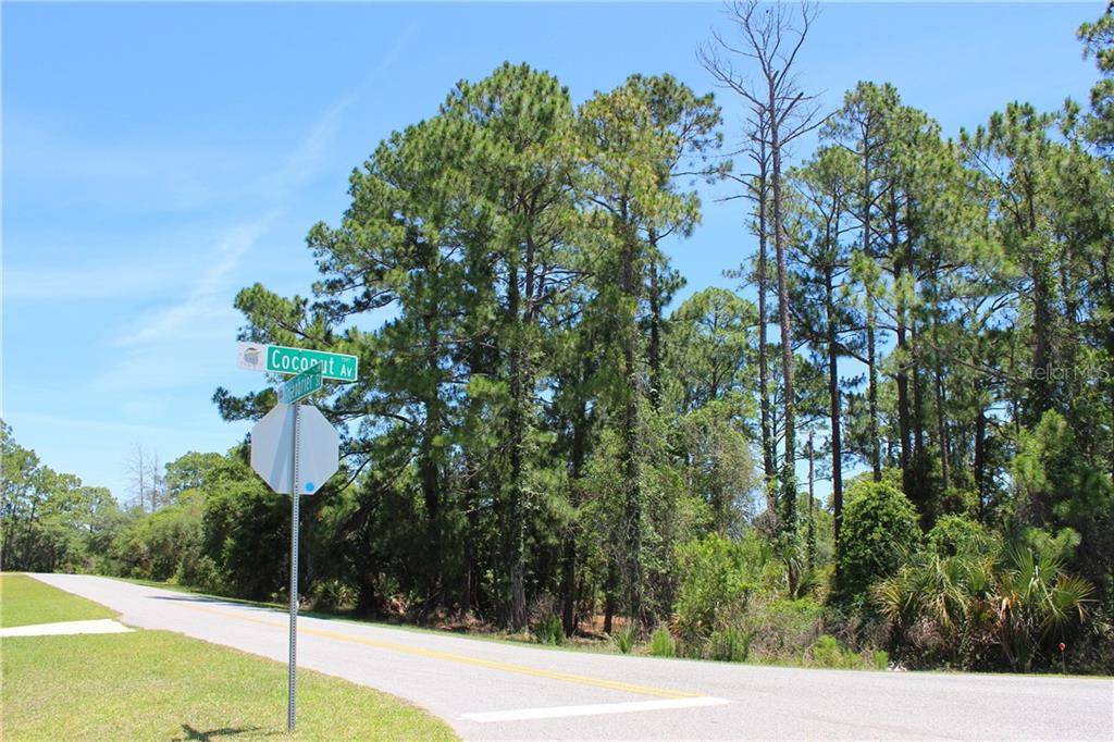 Eustis, FL 32736,Lot 2 GREENBRIER ST