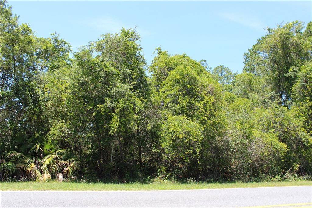 Eustis, FL 32736,Lot 8 ROYAL TRAILS RD