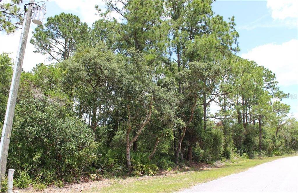 Eustis, FL 32736,Lot 15 & 16 VITEX AVE