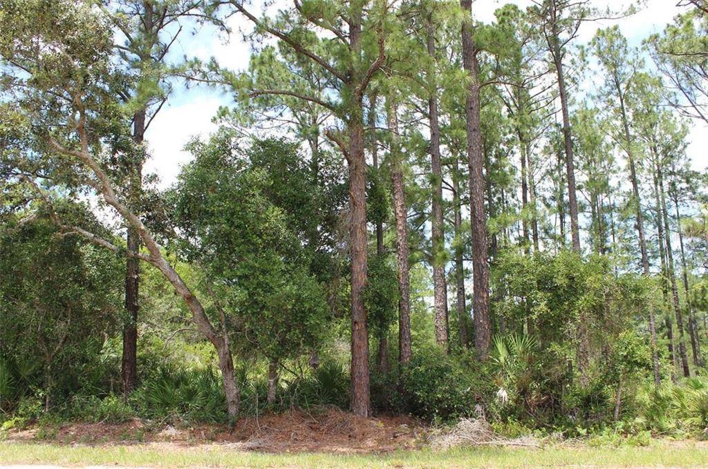 Eustis, FL 32736,Lot 15 & 16 VITEX AVE